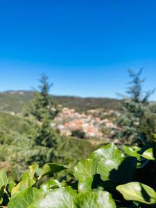 Villas Le Bastidou, entre mer et montagne : photos des chambres