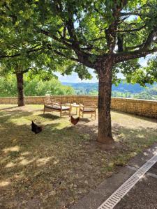 Maisons de vacances Le Baron Perche : photos des chambres