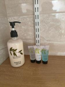 Southsea Historic Gem - Elegant Apartments