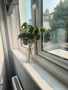 Southsea Historic Gem - Elegant Apartments