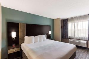 King Room - Non-Smoking room in Quality Inn