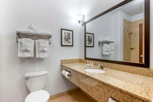 King Suite room in Comfort Suites Conference Center Rapid City