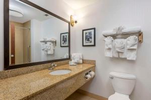 Comfort Suites Conference Center Rapid City