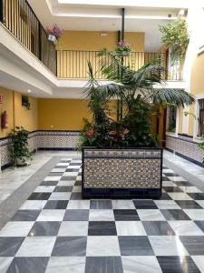 Centro de Sanlúcar, La Plata 23