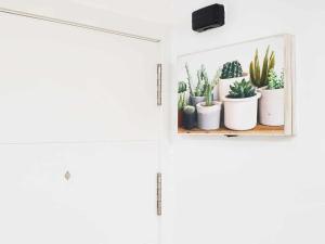 Studios Simón Murcia