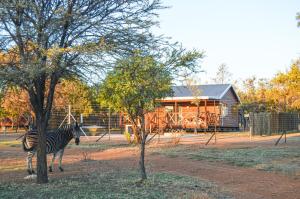 Letlotse Lodge