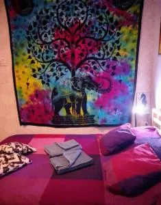 EL PEQUE DE TAMAIDE Tenerife Sur - Jama