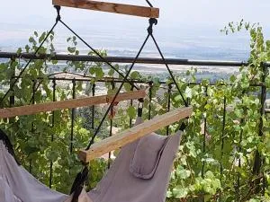 韦迪诺夫公寓 - 罗什平纳