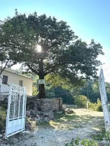 House in the forest "Šumski raj - Sutorman" - Brca