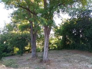 Oasi Santaquilina Apartment 33962 - 78613