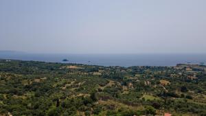 Villa Sarri by Sarris Winery