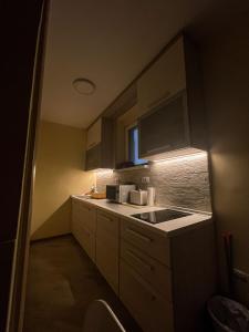 Belgrade Pearl with free parking