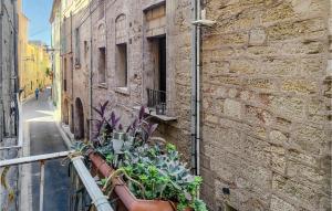 Maisons de vacances Lovely Home In Pezenas With Wifi : photos des chambres