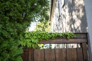 Lukas Kapeller Hotel und Restaurant