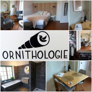 B&B de wetenschap (der gastvrijheid)