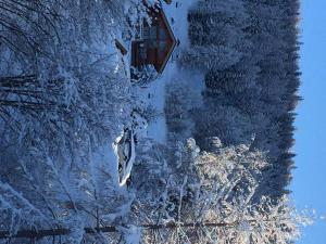 Paradiski calme et ensoleillé plan peisey