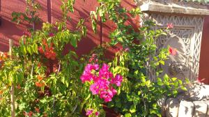 Appartement agréable avec 2 très belles terrasses au coeur de Rabat