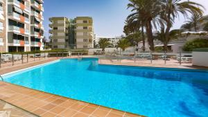 La Girafe de las Dunas Solymar