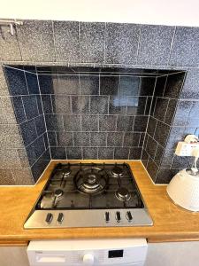 Stylish Ground Floor Garden Flat nr Central London