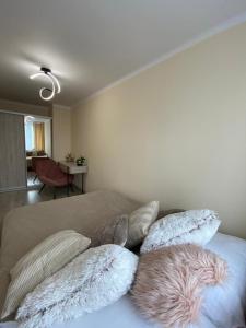 CENTRAL Apartament KatowiceSpodek