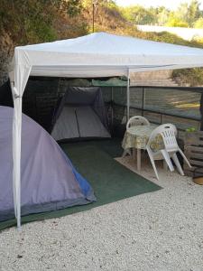 AREA MULTISPORT Camping & Camper