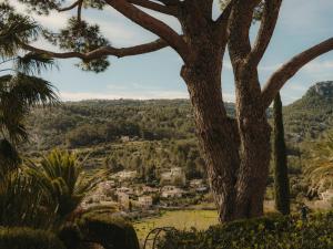 Castillo Son Net s/n, Puigpunyent, 07194, Majorca, Spain.