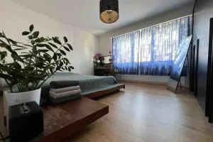 Helle Oase am Zürichsee * * * * * - Schindellegi