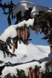 Hotels Chalet-Hotel Le Beausoleil, The Originals Relais (Hotel-Chalet de Tradition) : photos des chambres