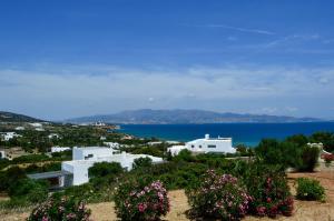 Villa Peristeri Antiparos Greece