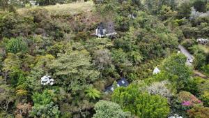 Ecoluxury Glamping