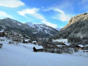 Appartements Studio Chatel, 1 piece, 4 personnes - FR-1-198-237 : photos des chambres