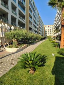 Seaside Apartment Shengjin- The rock