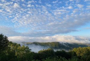 B&B / Chambres d'hotes Les Monts d'Amara, ressourcement, nature, sante : photos des chambres