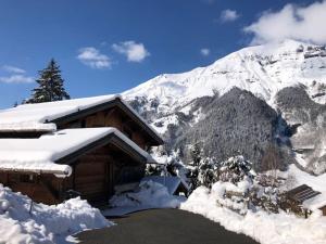 Chalets Superbe CHALET (14 personnes) & SAUNA au pied du Mont Blanc : photos des chambres