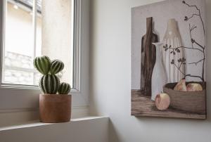 Le Zandoli - Appart - Centre - Calme