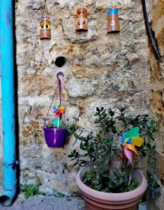 Guglielmos House Bed & Breakfast