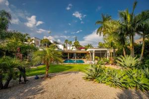 ¡Nueva! Bamboo CASA ARTE