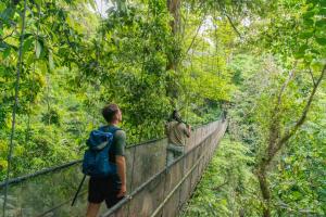 El Remanso Rainforest Lodge