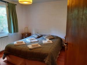 Cabaña con excelente vista al Lago Gutierrez