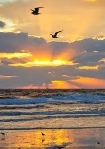 Great Vibes - Gulf Resort Beach