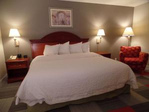 Deluxe King Room - Non-Smoking room in Hampton Inn Bowling Green