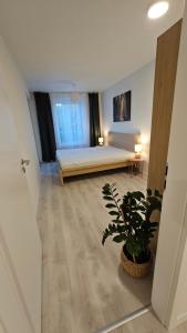 2 room Apartment with terrace, 2AK