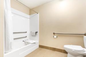 Suite with One King Bed and Two Queen Beds - Accessible/Non-Smoking room in Comfort Inn & Suites Redwood Country