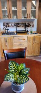 Domo Familiar Mi Espacio Rustiko