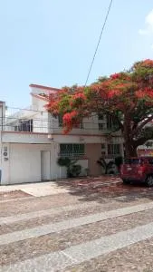 Casa Flamboyant - Miranda
