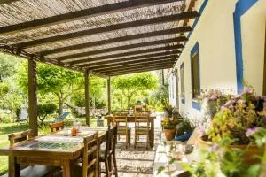 Figueirinha Ecoturismo - Aldeia do Cano