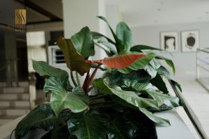 Sotogrande Davao Hotel