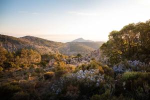 Maisons de vacances Joli logement au calme entre Ajaccio et Porticcio : photos des chambres