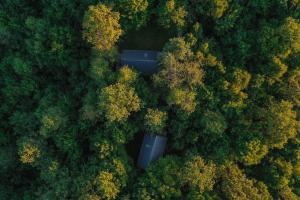 Tree Elements treehouse retreat 