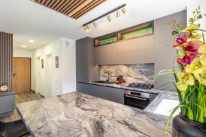 Urban Plaza Mountain View Luxury Retreat